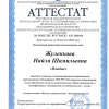 Сертификат Аттестации НГСР 2021год
